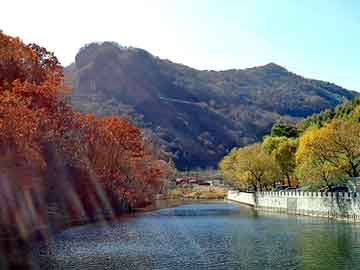 新澳天天彩免费资料大全查询，烟台龙口海景房